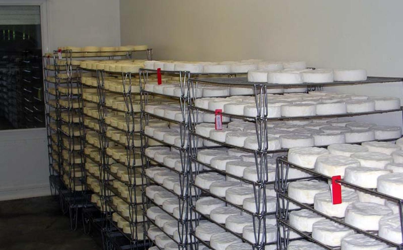 Fromagerie Durand - Camembert - © Orne Tourisme