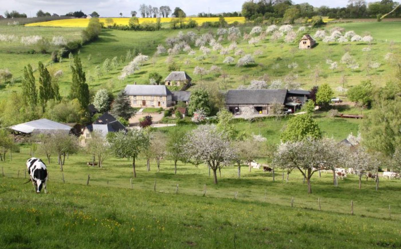 Balade gourmande à Crouttes - Domaine Galotière