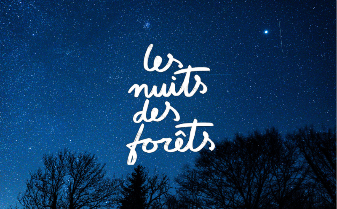 La Nuit des Forêt à Sap-en-Auge - Taisuke_Yoshida