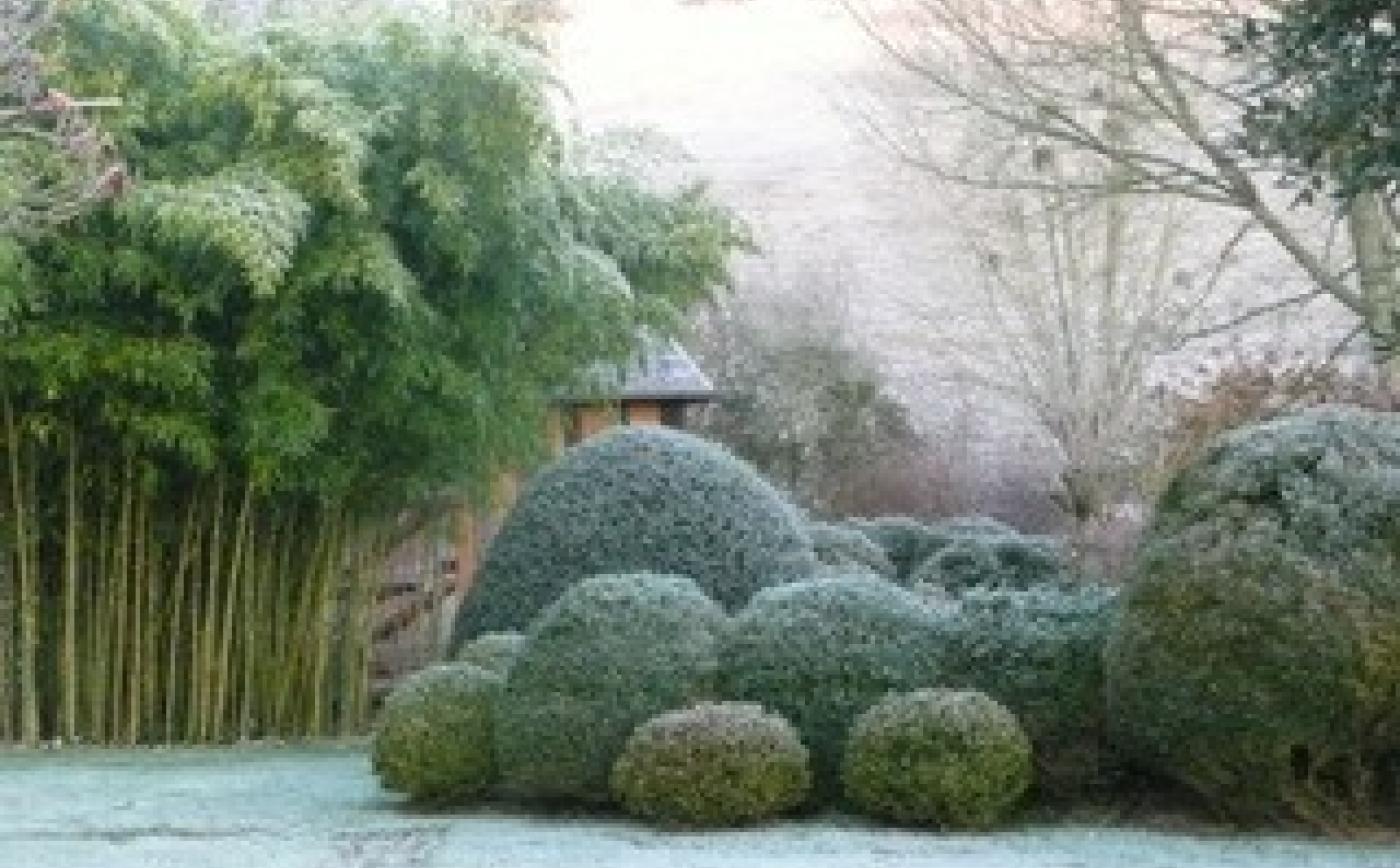 Neuf-Bois_2 - Neuf-Bois