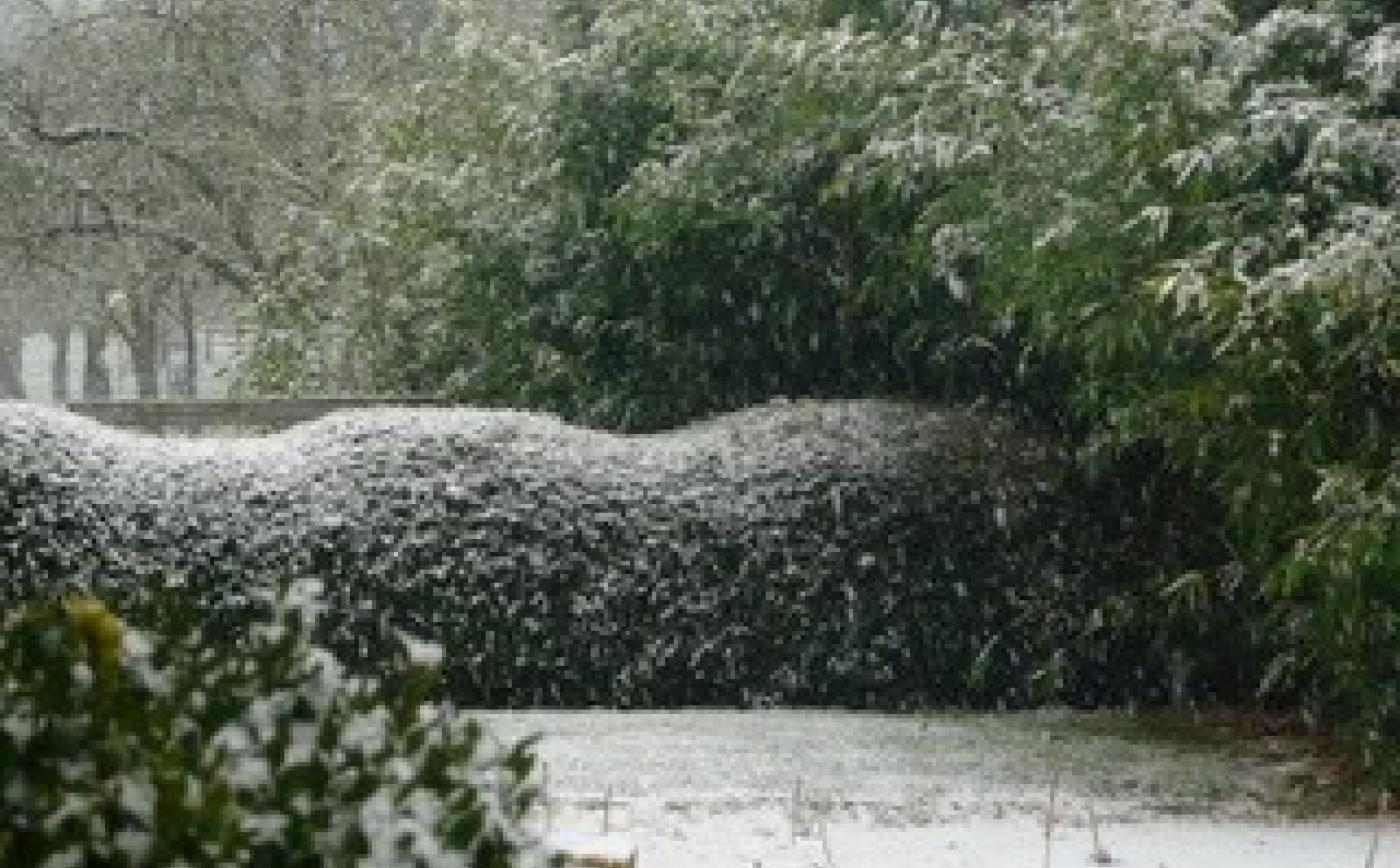 Neuf_Bois_3 - Neuf-Bois