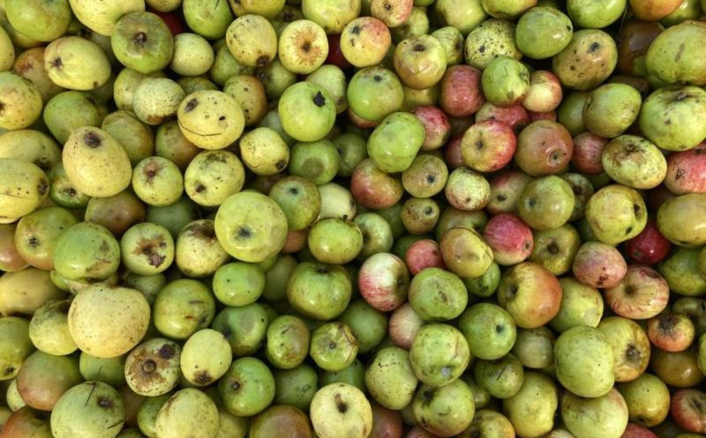Le pressoir de la Malherbière - © Gites de France Orne