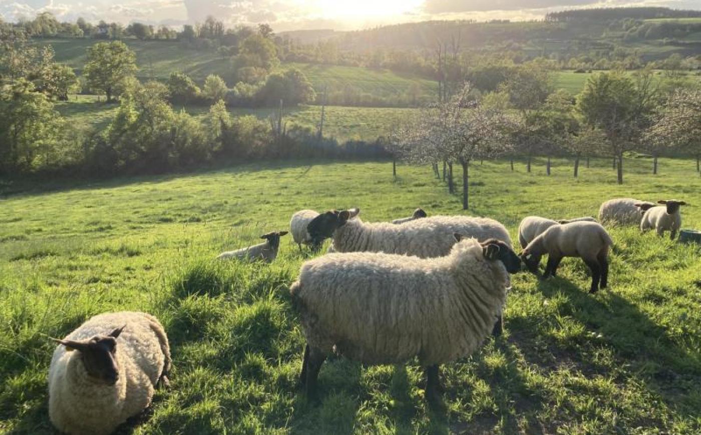 Le pressoir de la Malherbière - © Gites de France Orne