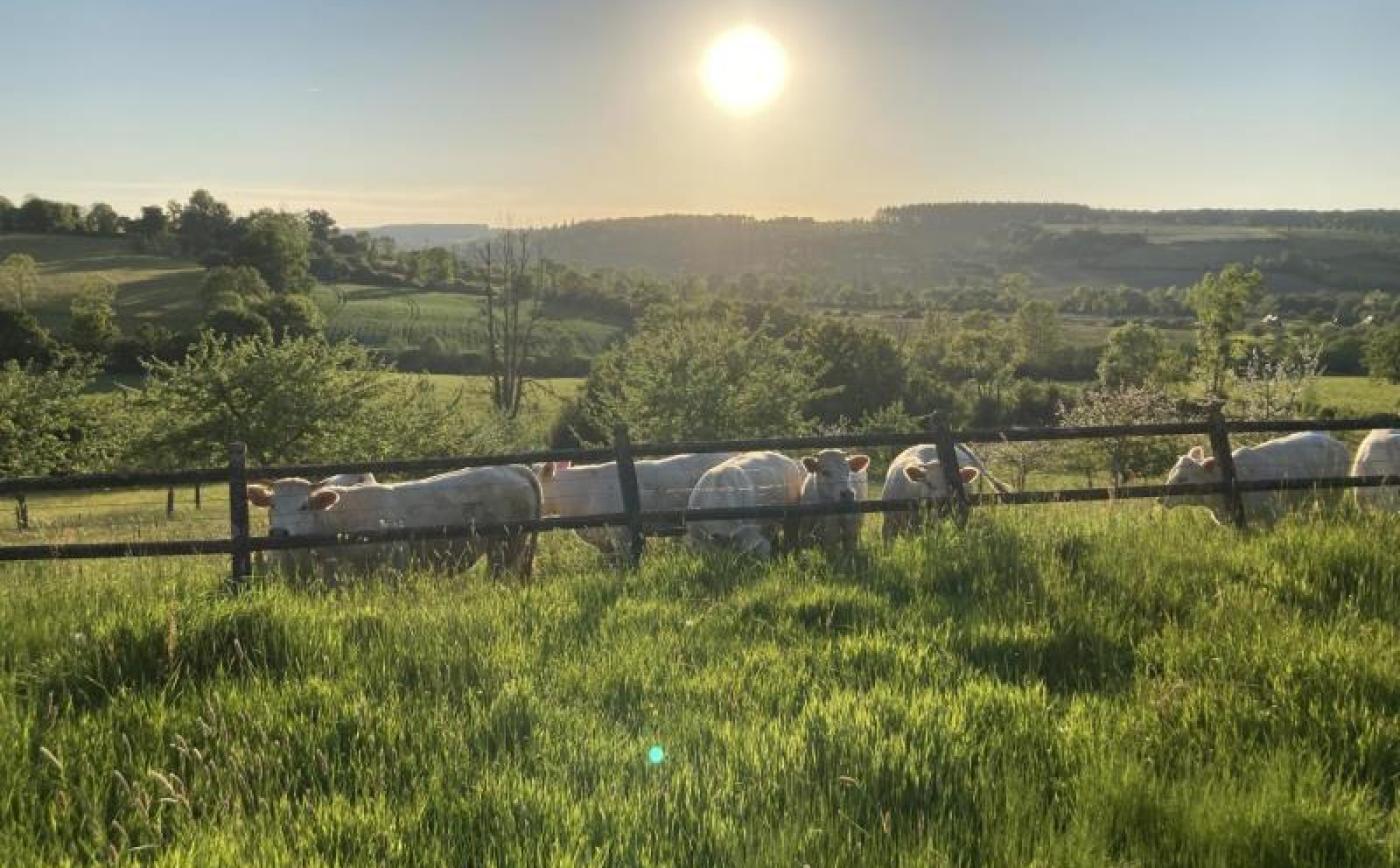 Le pressoir de la Malherbière - © Gites de France Orne