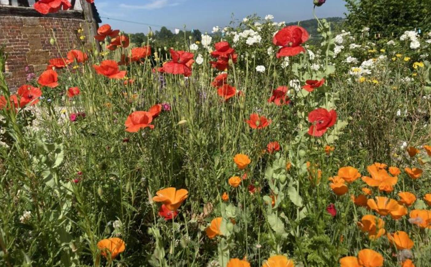 Le pressoir de la Malherbière - © Gites de France Orne