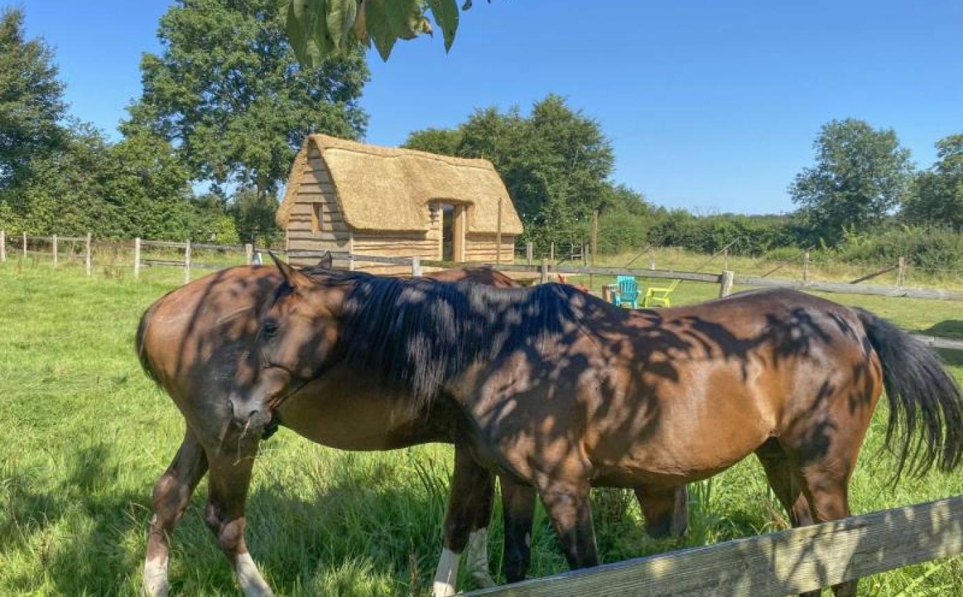 Chaumière Miro du Haras des Arts - © Gites de France Orne