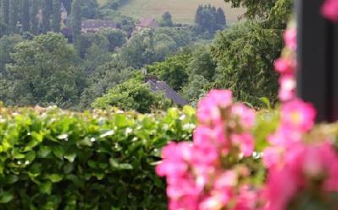 A la campagne Gîte Spa - © Gites de France Orne