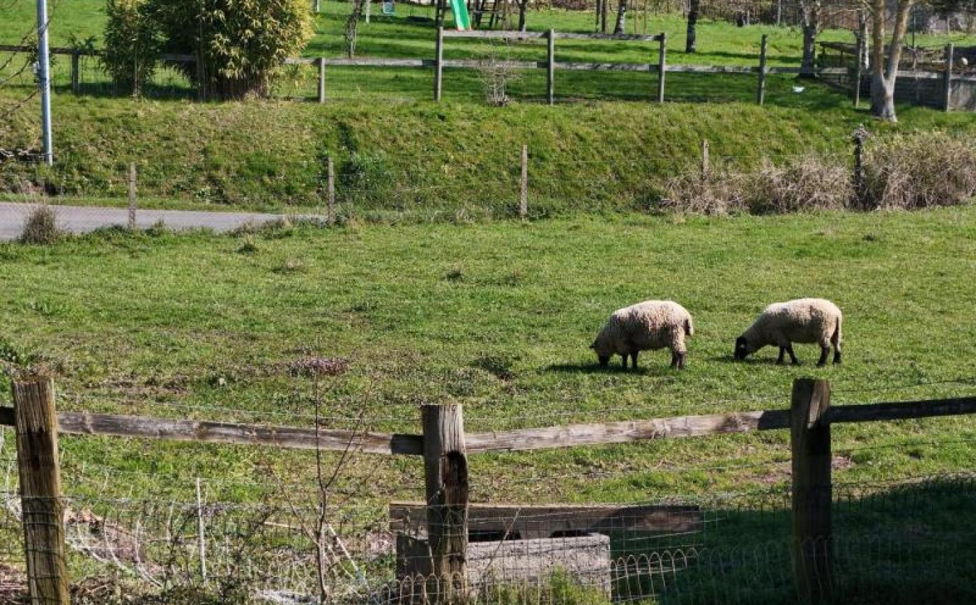 La Lamberderie - © Gites de France Orne
