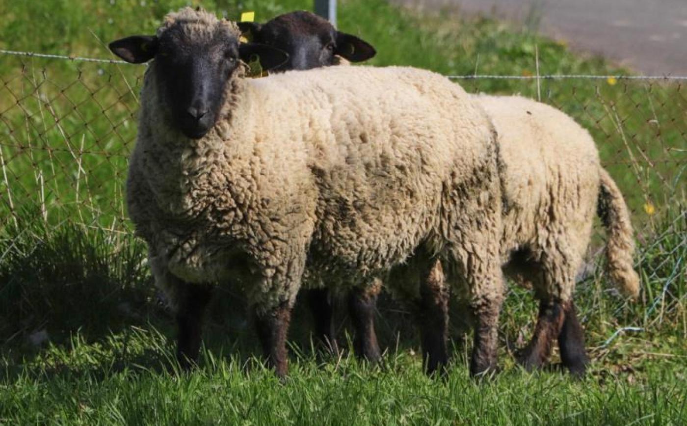 La Lamberderie - © Gites de France Orne