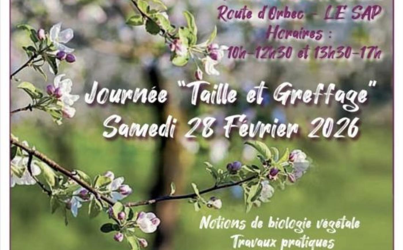 Atelier Greffage à Sap-en-Auge - Association Le Grand Jardin