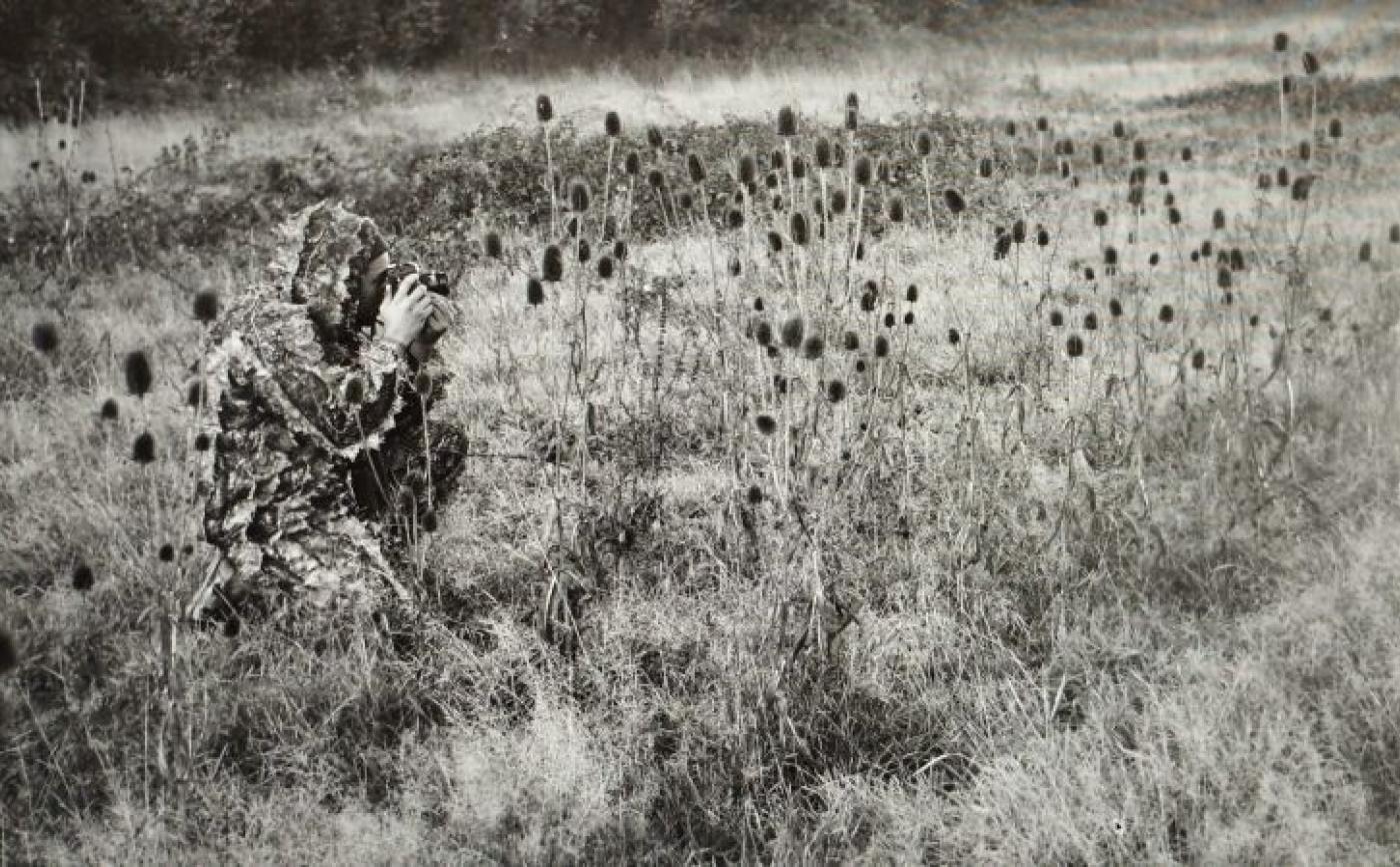 Exposition à Sap-en-Auge - Domaine Sauvage Le Costil