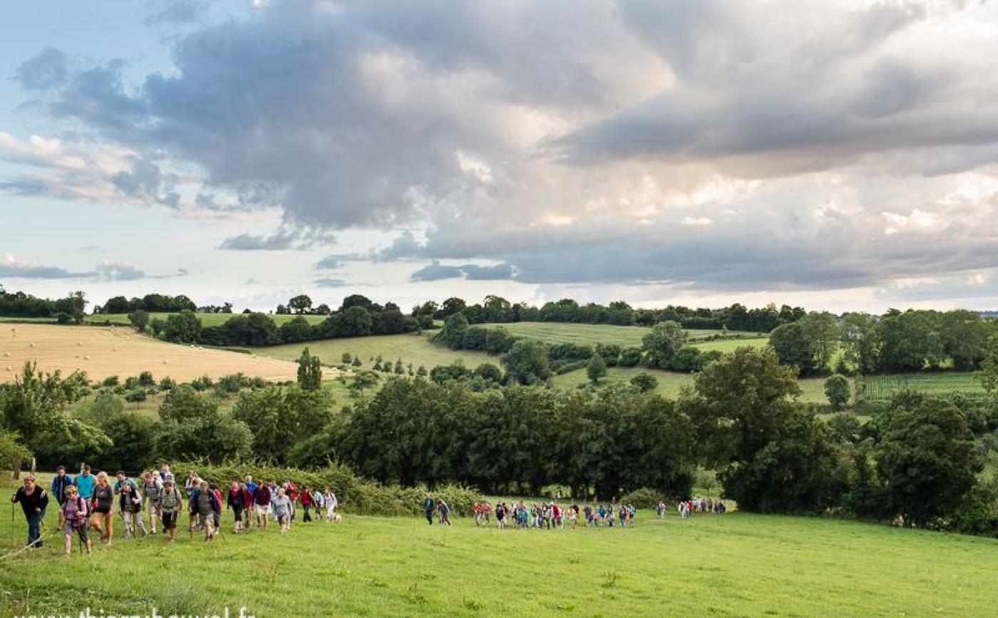 Galotière à Crouttes - Thierry Houyel