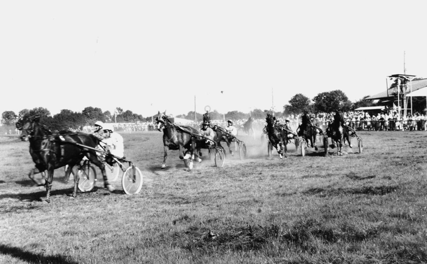 Courses hippiques à Sap-en-Auge - Jean-Claude MAYZAUD