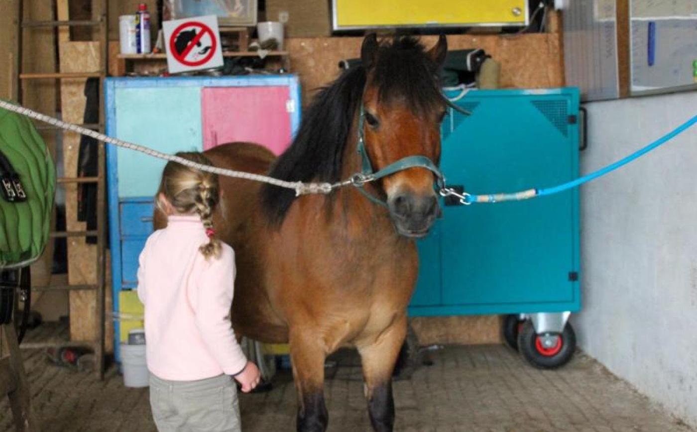 Chaumière Miro du Haras des Arts - © Gites de France Orne