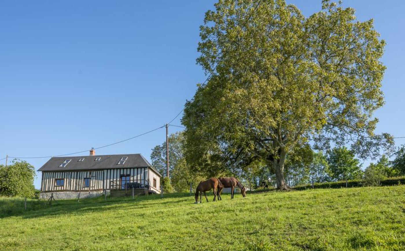 Le-Cottage-des-Trotteurs-Roiville - ©MME VALLETTE